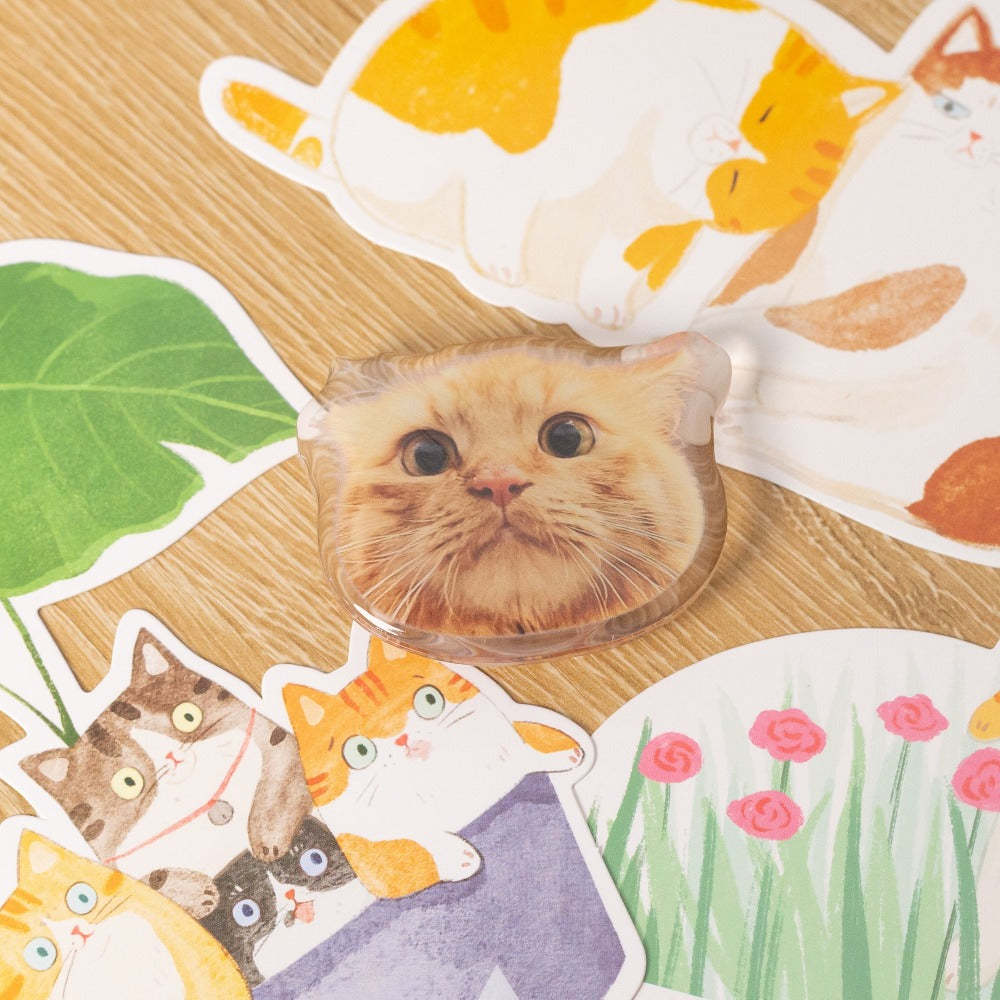 Custom Pet Portrait Phone Popsocket