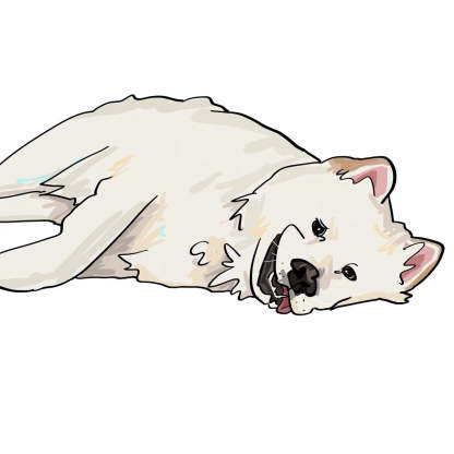 Hand-Painted Ugly-Cute Pet Digital Drawings