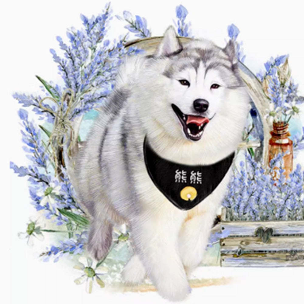 Hand-Painted Anime Pet Digital Drawings