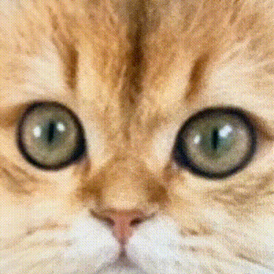 3D Custom Pet Portrait Pillow