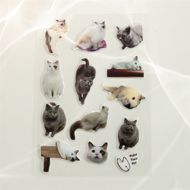 Custom 3D Crystal Epoxy Pet Stickers
