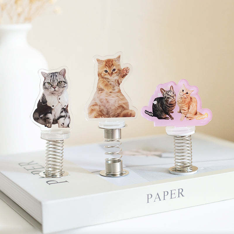 Custom Shaker Acrylic Stand Ornaments