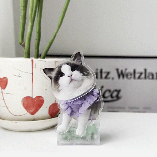 Pet Ornaments