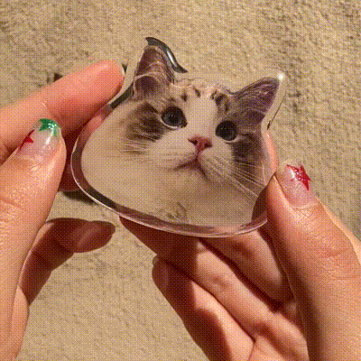 Custom Pet Portrait Phone Popsocket