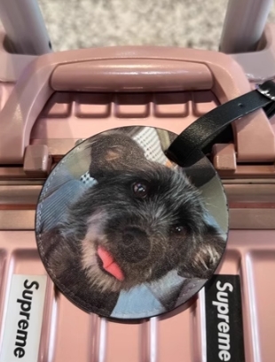 Custom Pet PU Leather Luggage Tag