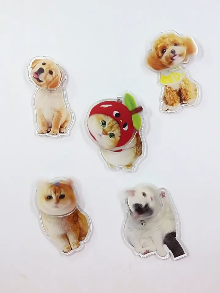 Custom 360° Rotating Refrigerator Magnet