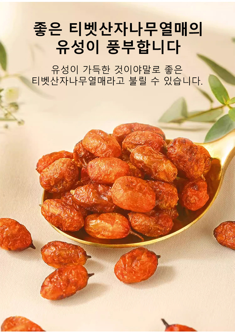 【사막 생명의 열매】혈중 지질 강하 천연 말린 티벳산자나무열매