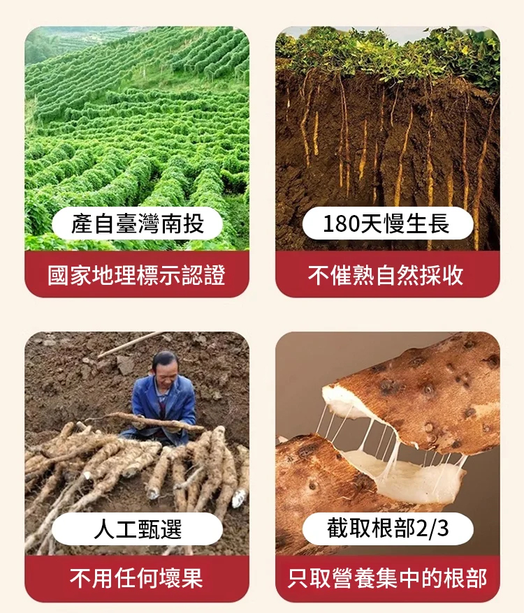 未标题-4.jpg