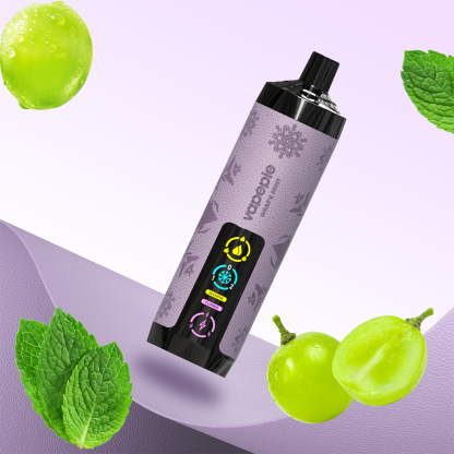 VAPEPIE AirPush 30000 PUFFS[The first ultra-high puff shisha]