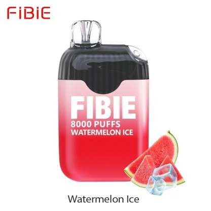 FIBIE 8000 PUFFS Dual Flavors