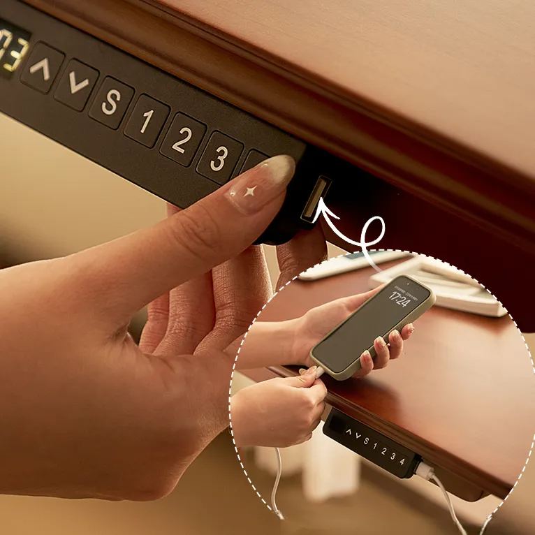 AeroLift Solid Wood Standing Desk