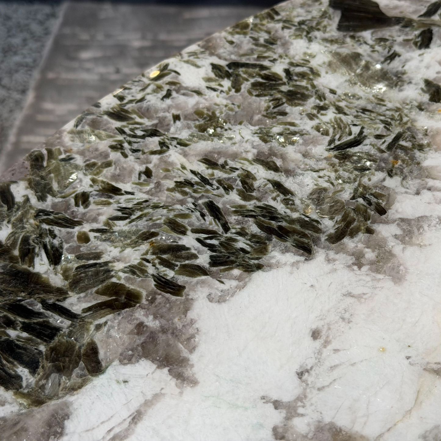 Pandora Coffee Table