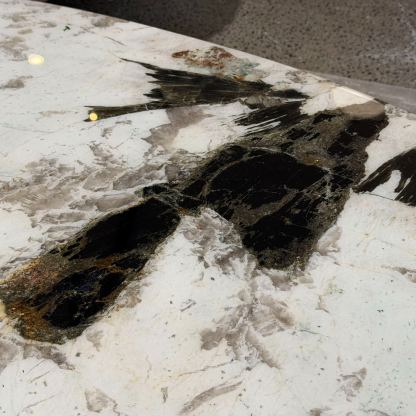 Pandora Coffee Table