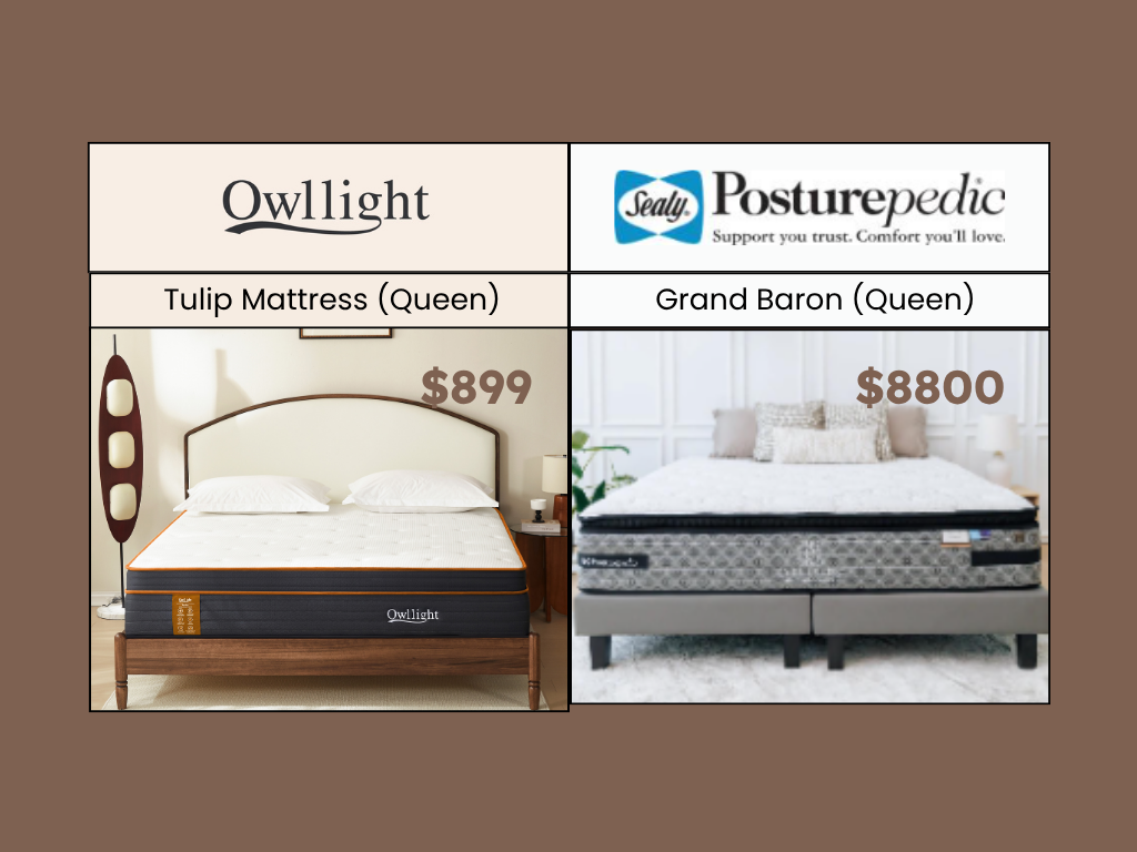 Sealy Posturepedic vs Owllight Tulip Back Care Mattress
