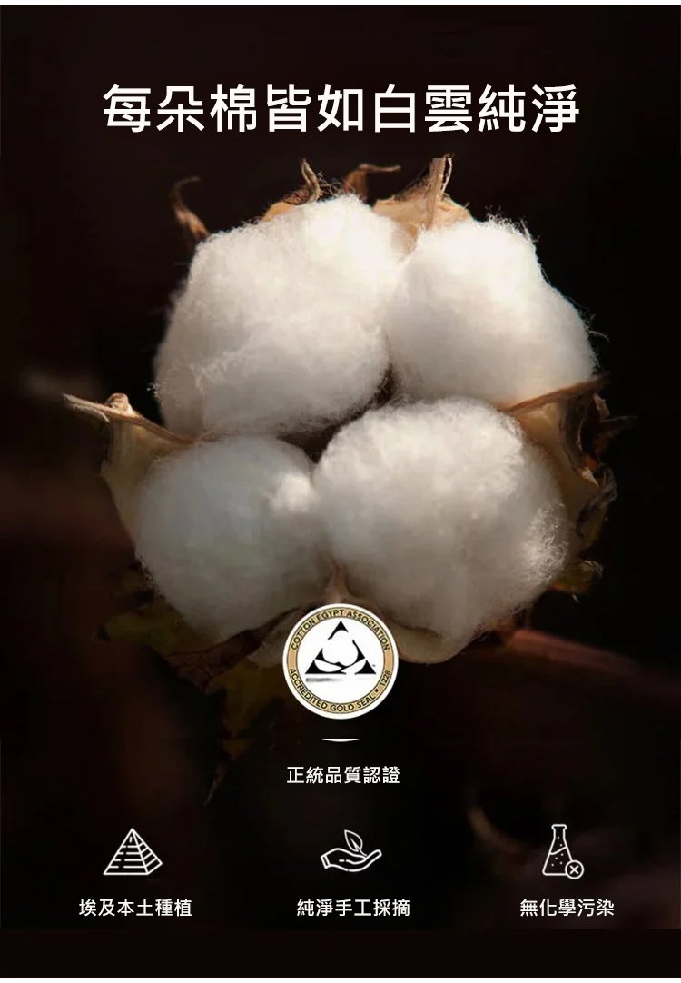 翻译件-HFH-【加绒加厚】立领中长款女士显瘦卫衣-1327918-系统_10.jpg