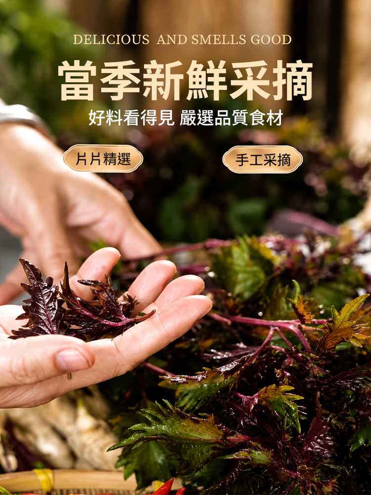 【祛濕散寒】正宗紫蘇醬 開胃下飯菜