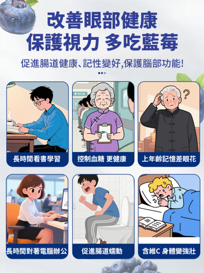 【眼睛好搭檔】無添加天然野藍莓幹