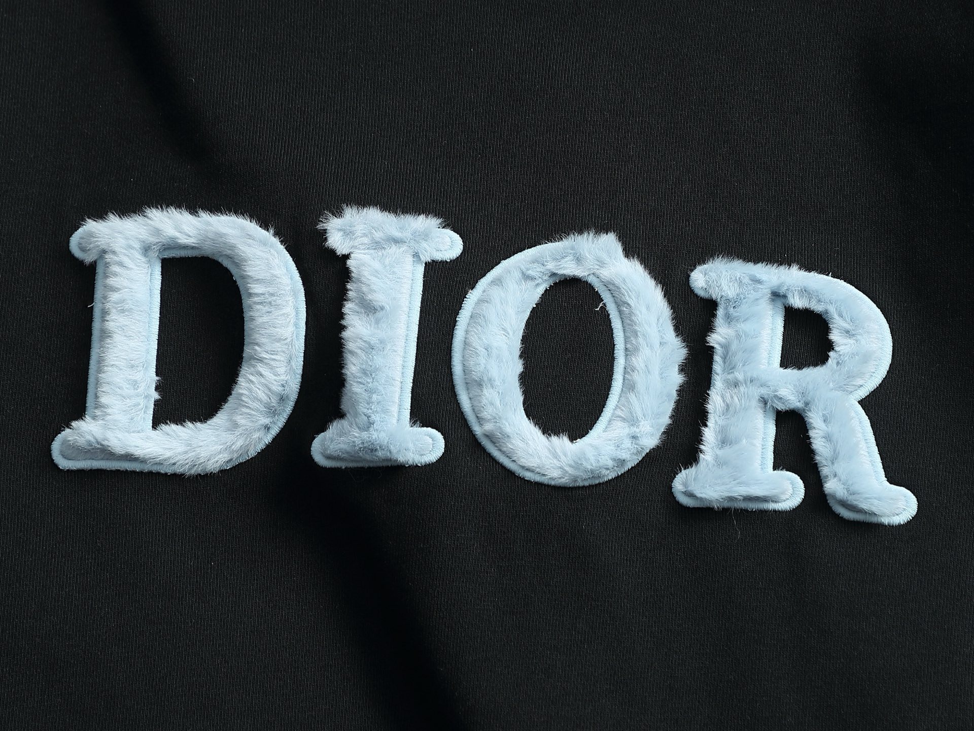 【DIOR】長袖 T シャツ