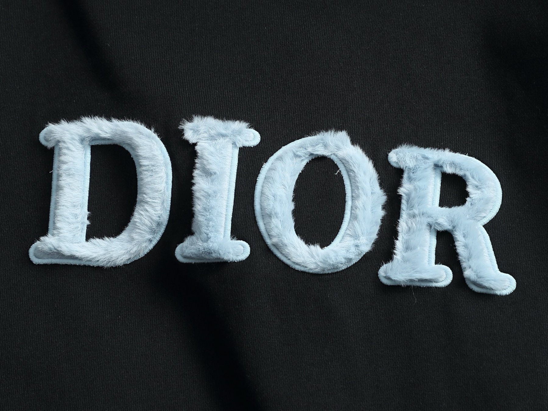 【DIOR】長袖 T シャツ