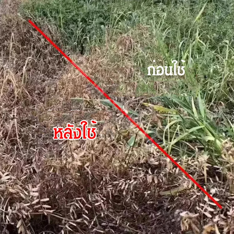 สารกำจัดวัชพืชกลูโฟซิเนตความเข้มข้นสูง