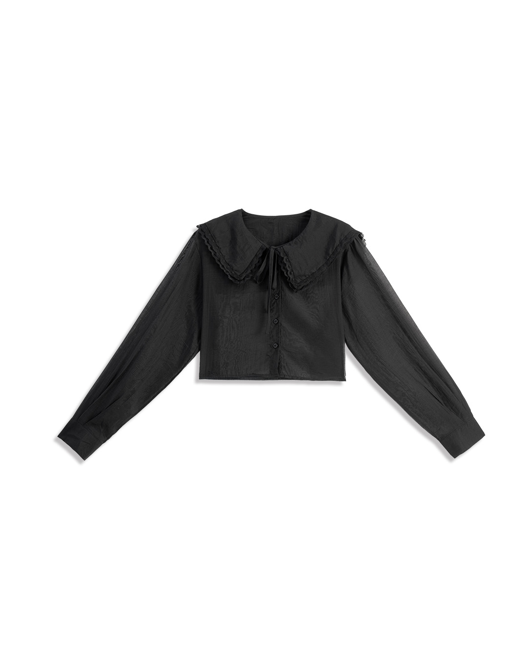 レースカラーショートシャツ 2色展開