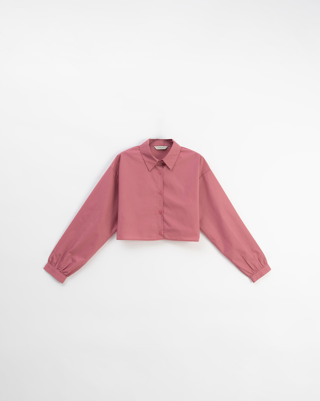 ミニシャツ 5色展開