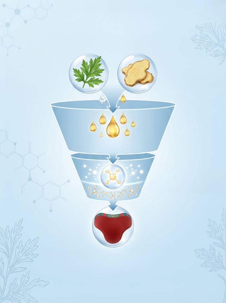 【李時珍生技】醫用級腰椎漢方專用貼 (十貼裝)