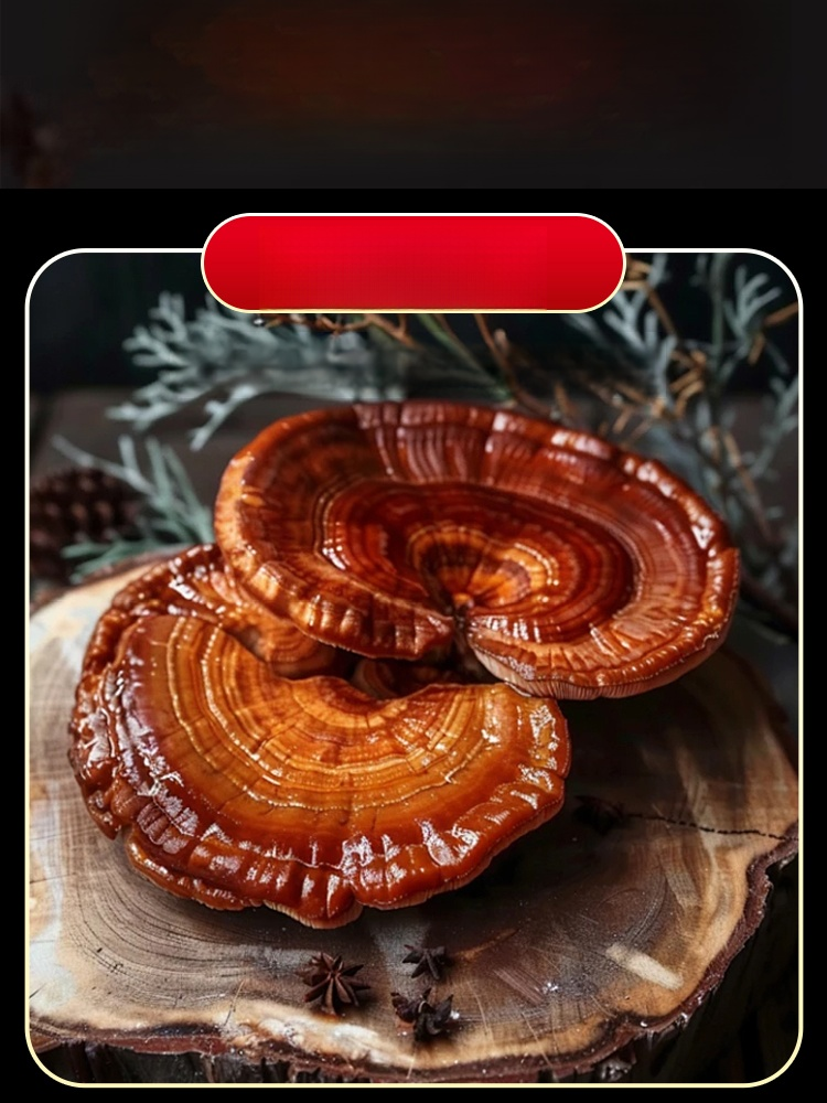 靈芝蛹蟲草雙參鹿腎杜仲雄花黃精