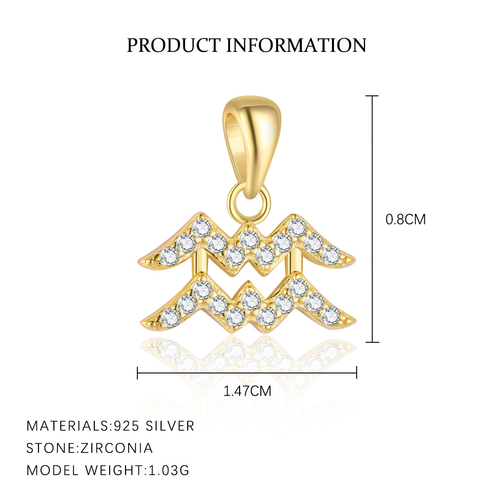 S925 Sterling Silver Zircon Zodiac Pendant