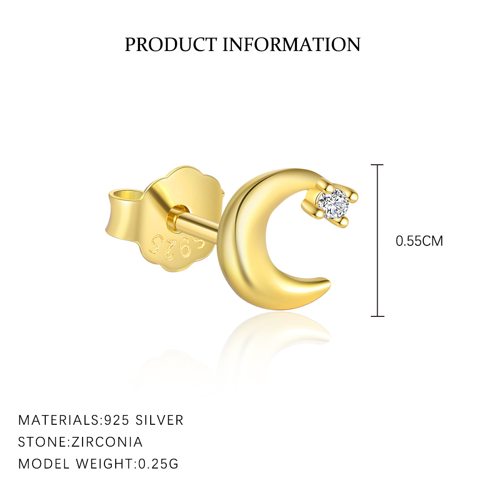 S925 Sterling Silver Ear Stud and Earring Set