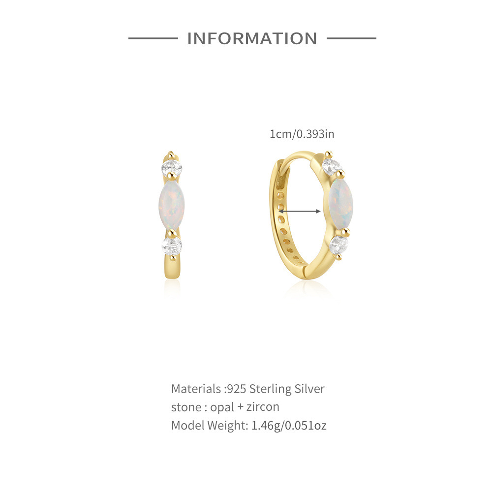 S925 Sterling Silver Round Hoop Earrings with Zircon and Opal Inlay