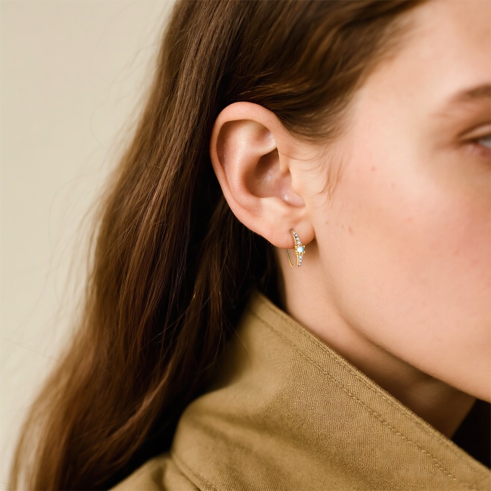 S925 Sterling Silver Zircon Earrings