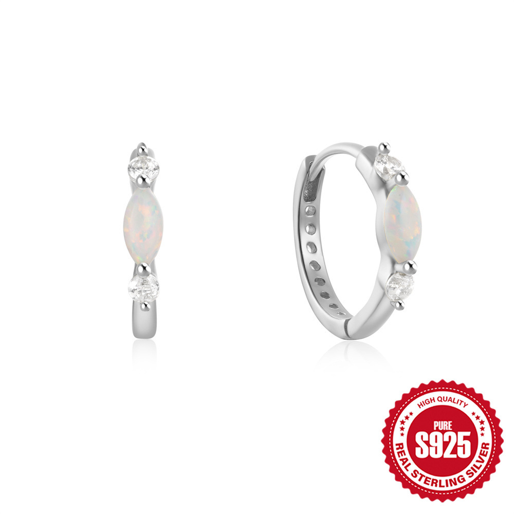 S925 Sterling Silver Round Hoop Earrings with Zircon and Opal Inlay