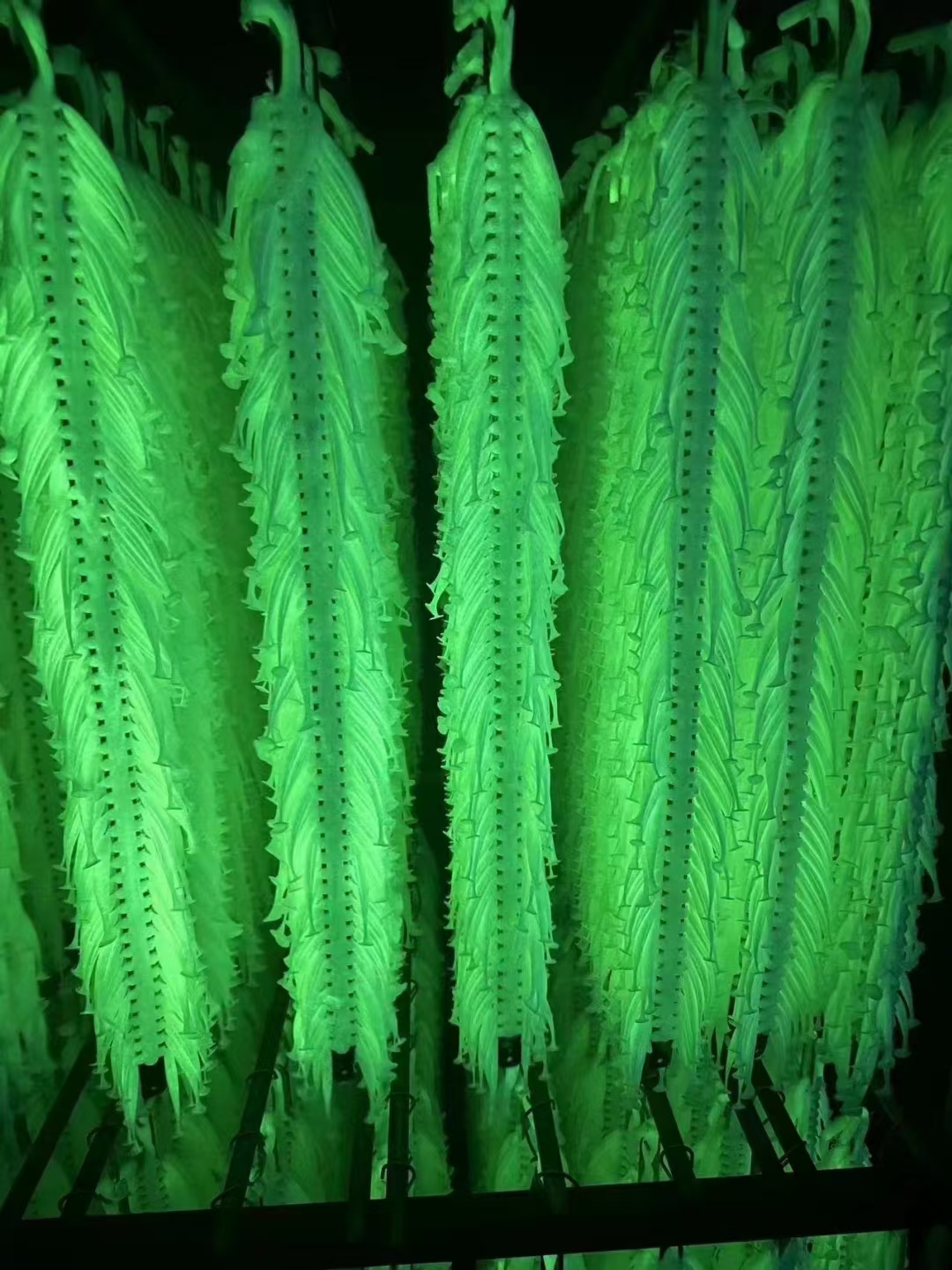 HP-700 Luminous Masterbatch