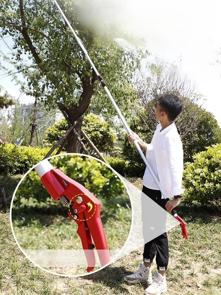 กรรไกรตัดผลไม้ที่สูงแบบยืดหดได้