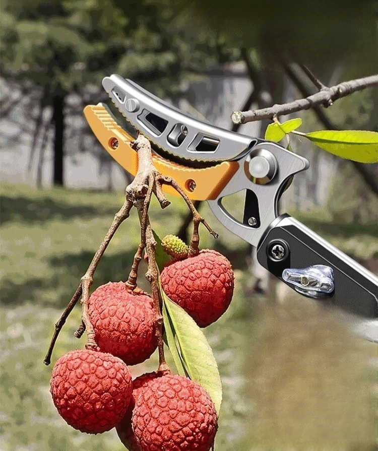 กรรไกรตัดผลไม้ที่สูงแบบยืดหดได้