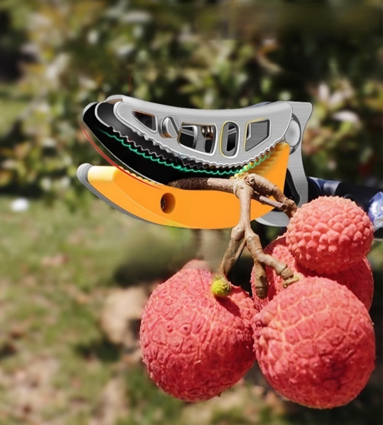 กรรไกรตัดผลไม้ที่สูงแบบยืดหดได้