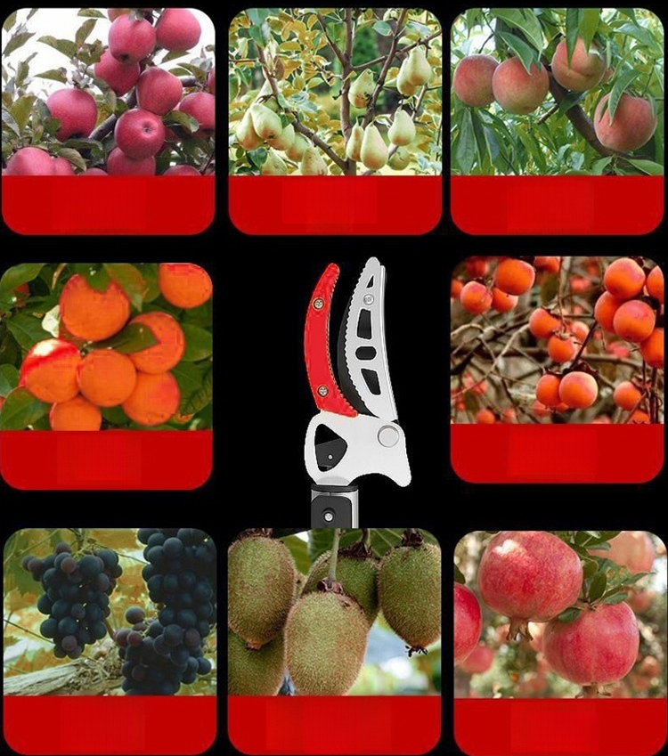 กรรไกรตัดผลไม้ที่สูงแบบยืดหดได้