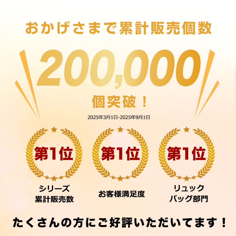 カジュアル ギフト バックパック 通学 通勤 旅行用 背面ファスナー サイドポケット ショルダーベルト 撥水 ポケット 多い リュックサック 大きめ 軽量 6690
