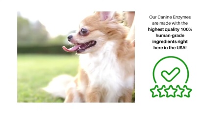 Dr. Goodpet Canine Digestive Enzymes™ (7oz) | Digestive Pancreatitis Support | Holistic Healthcare for Dogs