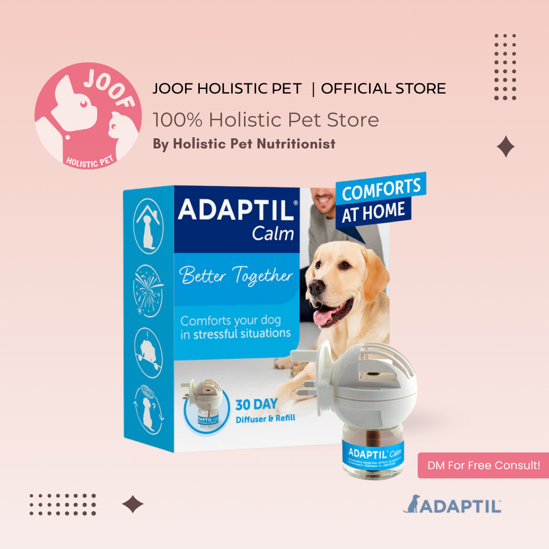 ADAPTIL Calm Diffuser (Kit & Refill) Dog Pheromone Calming Separation Anxiety Behaviour Support for Dogs