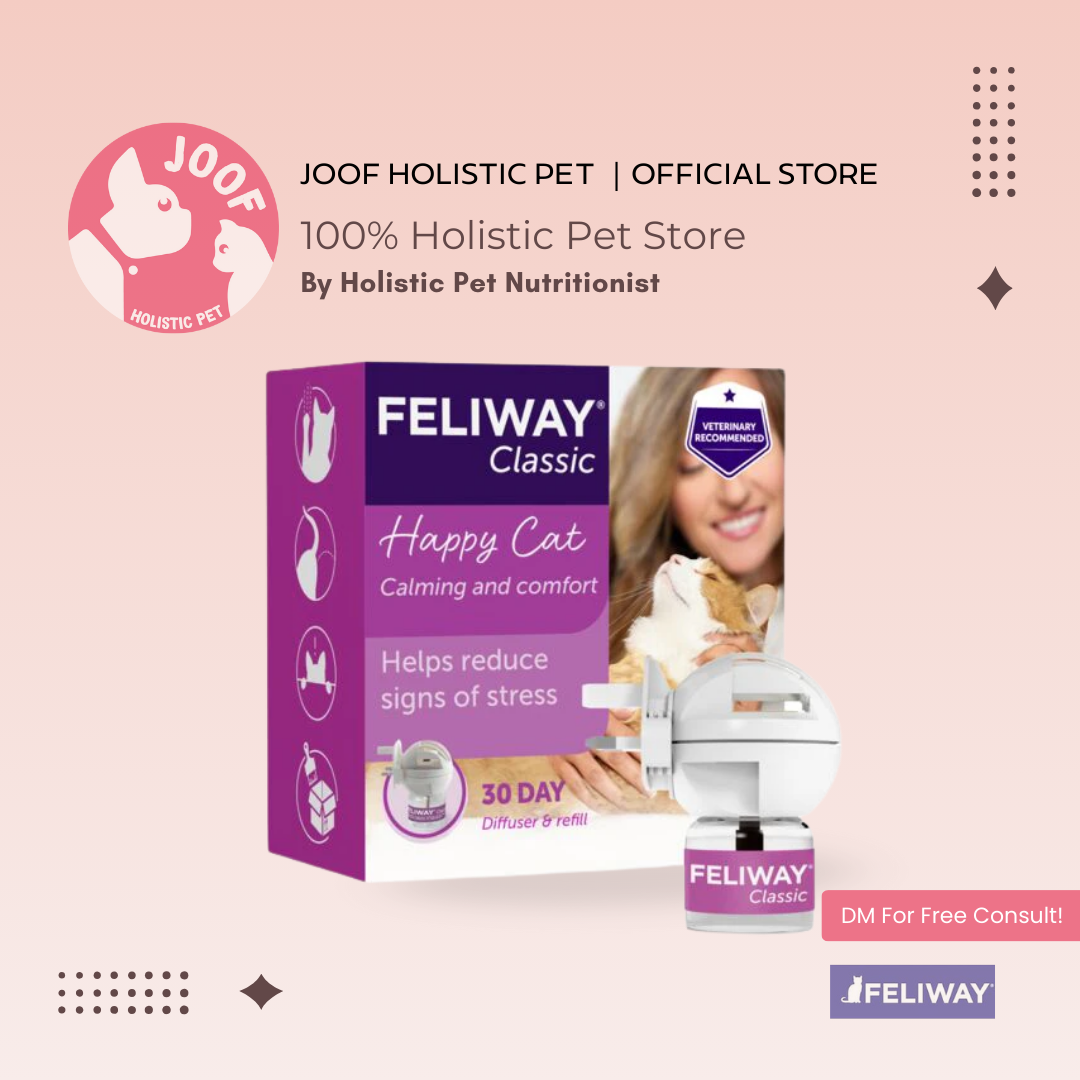 FELIWAY Classic Diffuser (Kit & Refill) Cat Pheromone Calming Anxiety Behaviour Support for Cats
