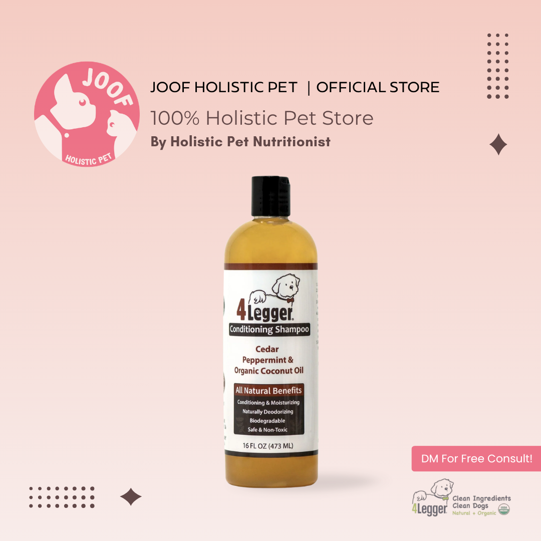 4Legger Cedar Peppermint Shampoo (16oz & 1 Gallon) Healthy Skin Coat Support for Dogs
