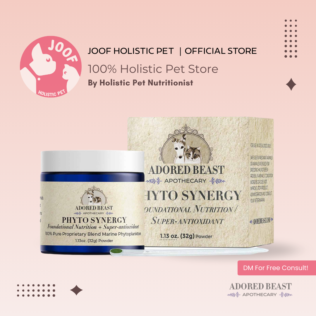 Adored Beast Phyto Synergy (15g & 32g) Omega 3 Antioxidant Skin Coat Dull Fur Support for Dogs and Cats