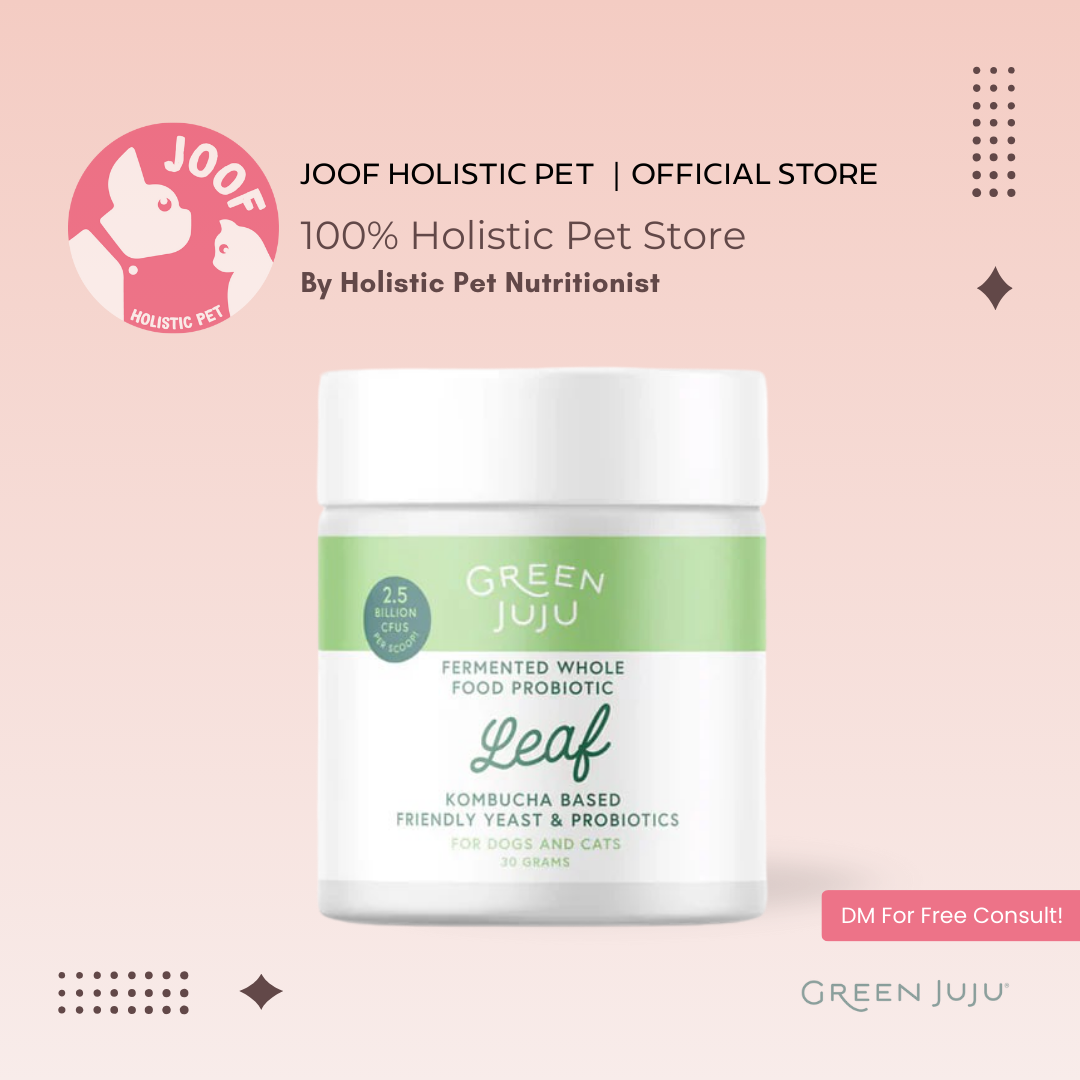 Green Juju Leaf (30g) Kombucha SCOBY Probiotic Gut Digestive Yeast Balance Support for Dogs and Cats