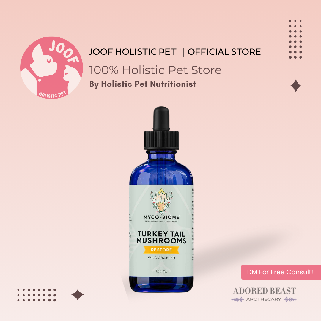 Adored Beast Myco Biome Turkey Tail Mushroom (125ml) Immune Gut Prebiotic Cancer Support for Dogs and Cats