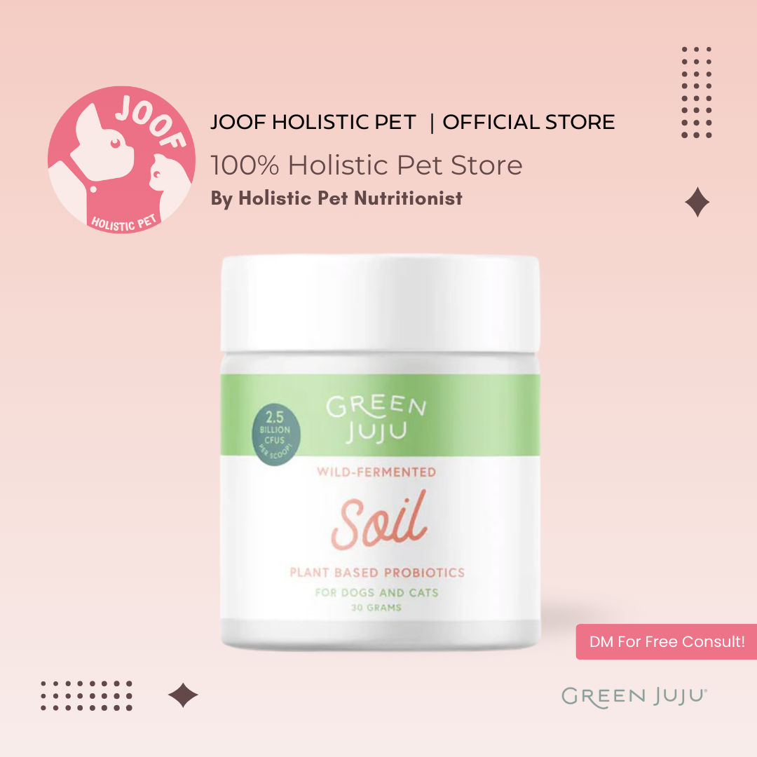 Green Juju Soil (30g) Wild Fermented Plant Probiotic Gut Immune Microbiome Support for Dogs and Cats