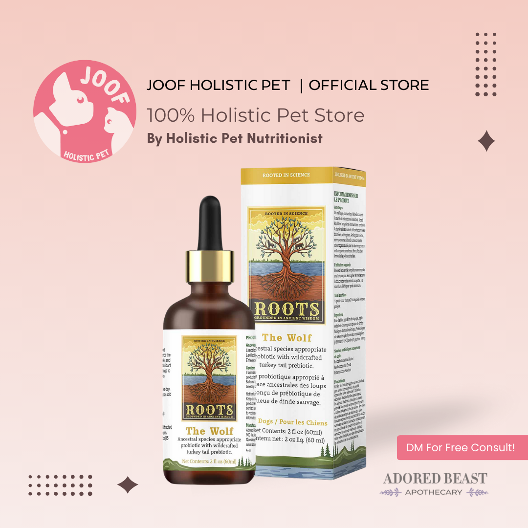 Adored Beast The Wolf (60ml) Species Appropriate Probiotics Prebiotics Gut Immunity Support for Dogs