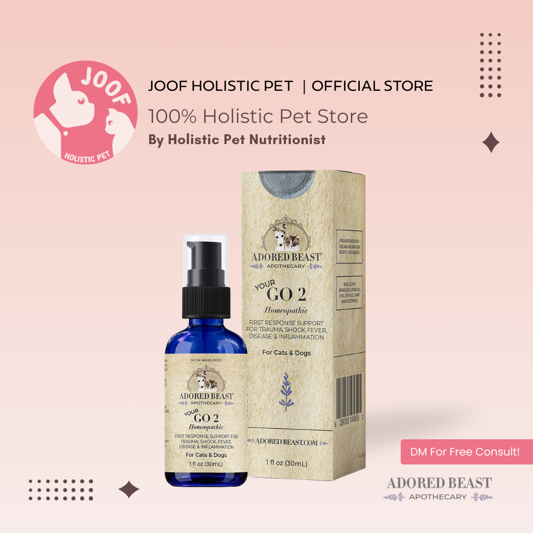 Adored Beast Your Go 2 (30ml) First Aid Homeopathic Recovery Support for Dogs and Cats