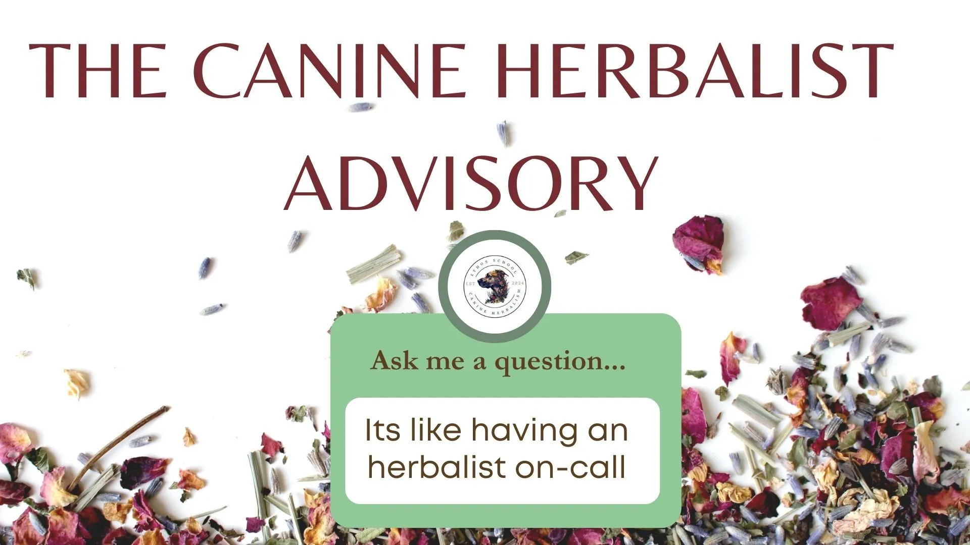 Canine Herbalist Advisory Community